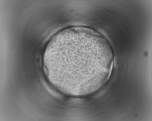 X0000113200205200910221047