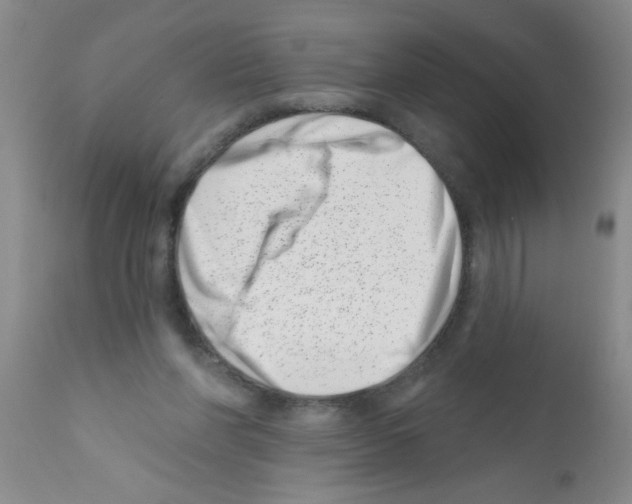 X0000113200206200910221047