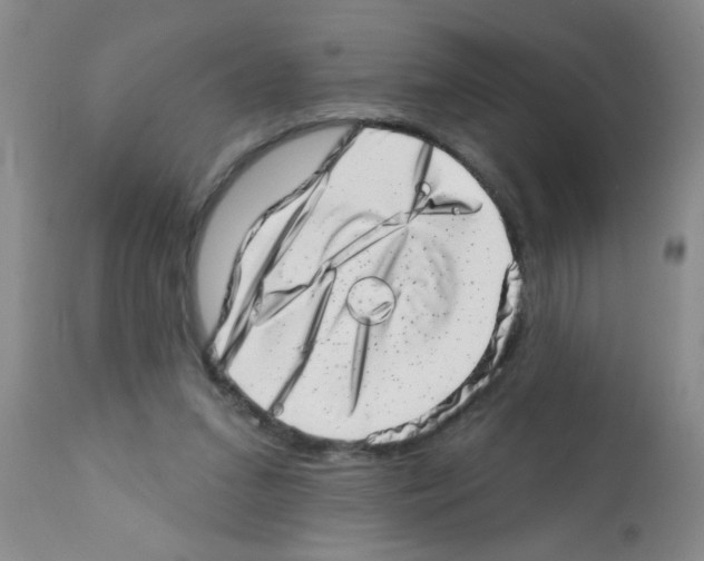 X0000113200207200910221047