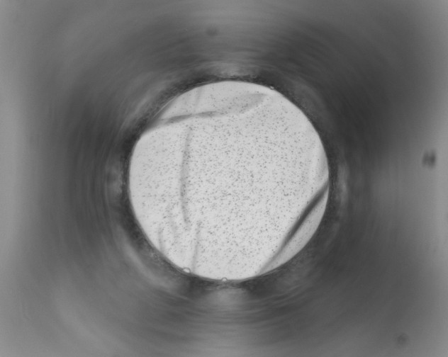 X0000113200210200910221047