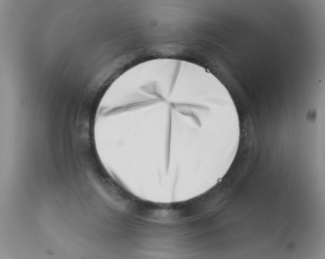 X0000113200212200910221047