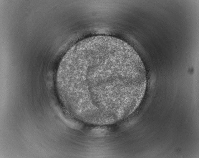 X0000113200213200910221047