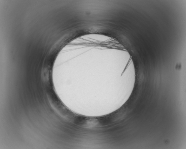X0000113200214200910221047
