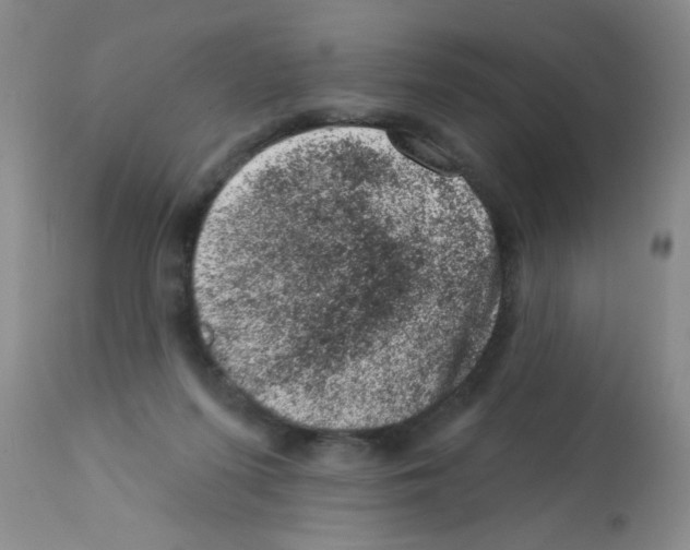 X0000113200215200910221047