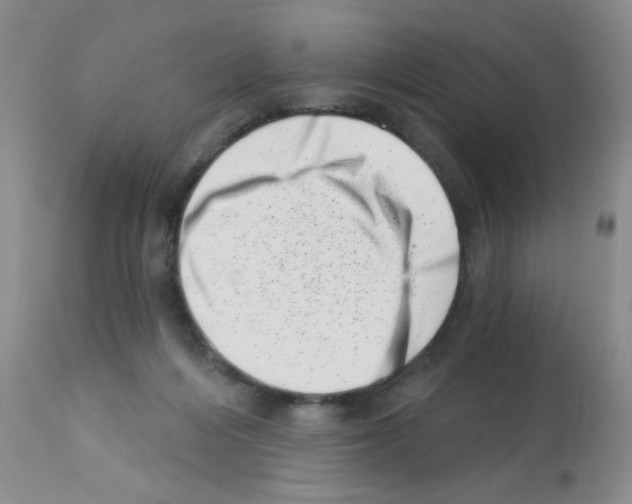 X0000113200216200910221047