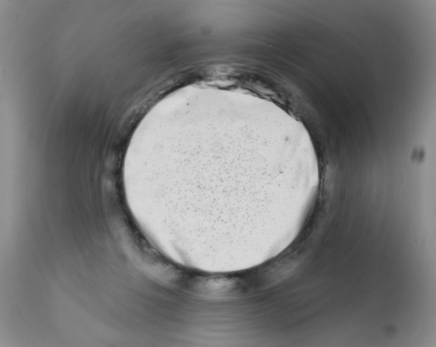 X0000113200217200910221047