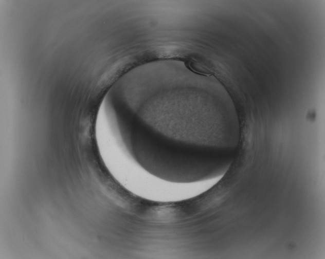 X0000113200219200910221047