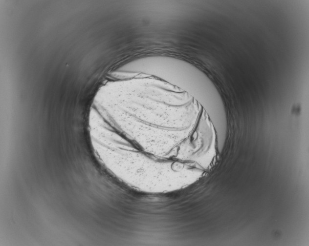 X0000113200221200910221047