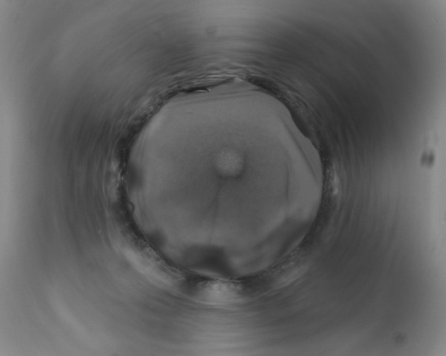 X0000113200223200910221047