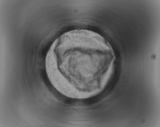 X0000113200224200910221047