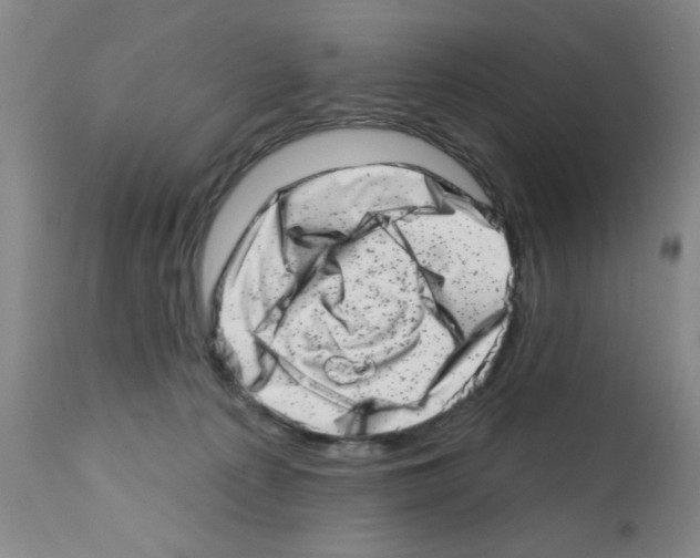 X0000113200225200910221047