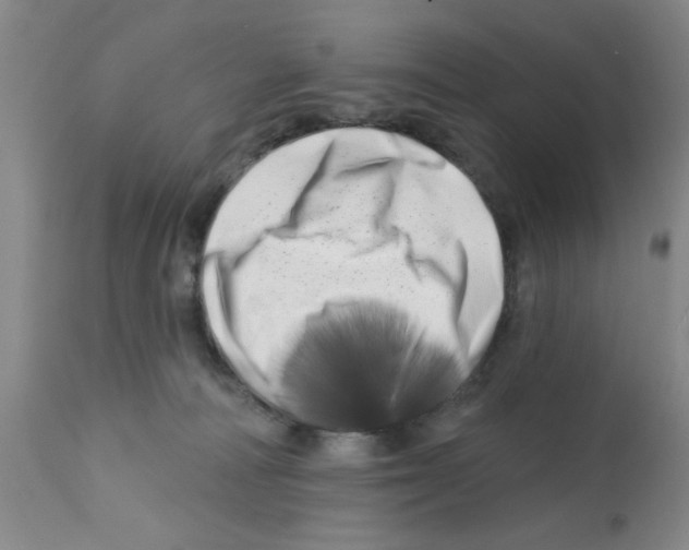X0000113200226200910221047