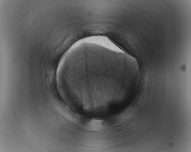 X0000113200227200910221047