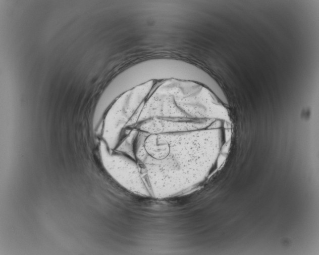 X0000113200229200910221047