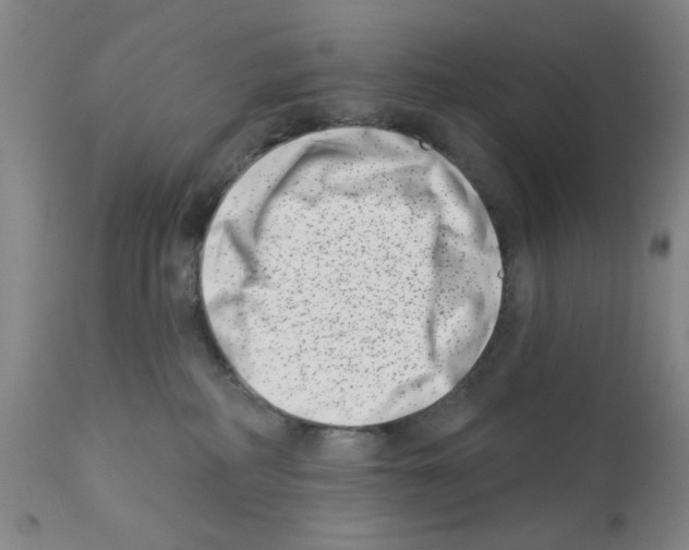 X0000113200234200910221047