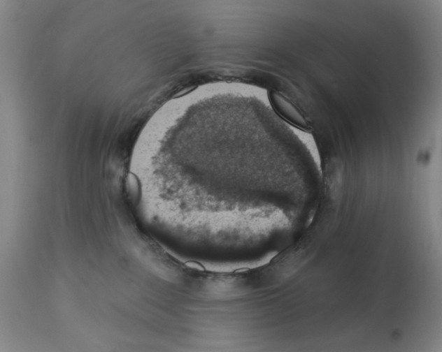 X0000113200235200910221047
