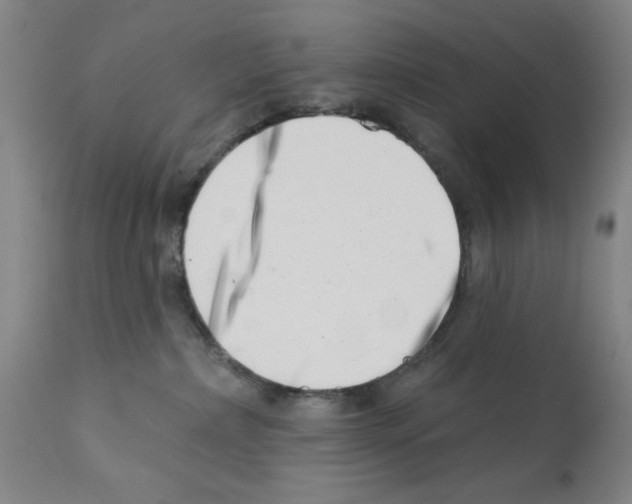 X0000113200236200910221047