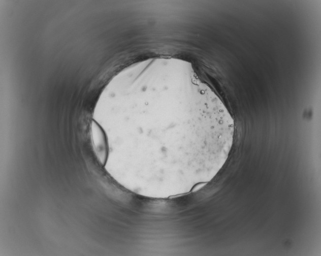 X0000113200237200910221047