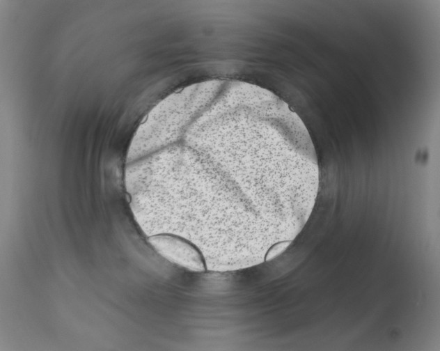 X0000113200238200910221047