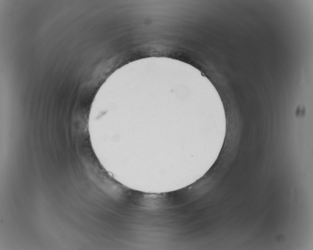 X0000113200240200910221047