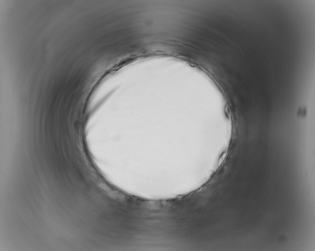 X0000113200241200910221046
