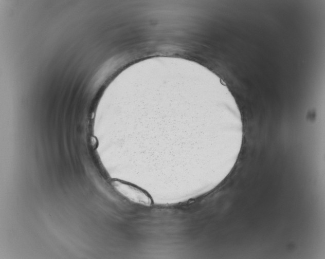 X0000113200242200910221046