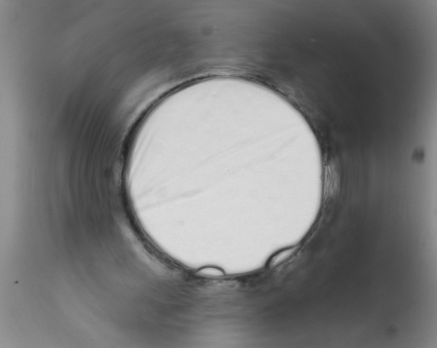 X0000113200243200910221046