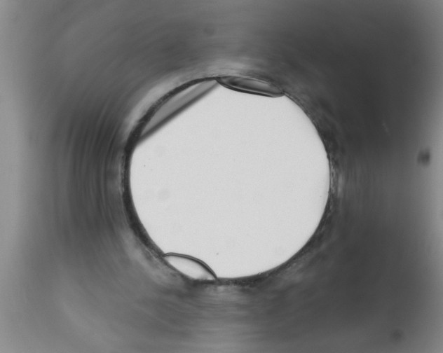 X0000113200244200910221046