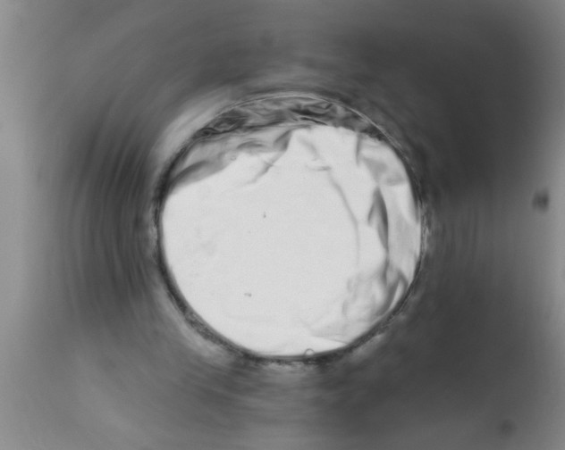 X0000113200245200910221046