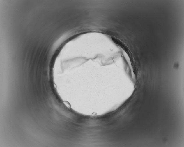 X0000113200246200910221046