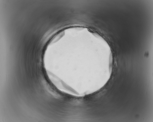 X0000113200247200910221046