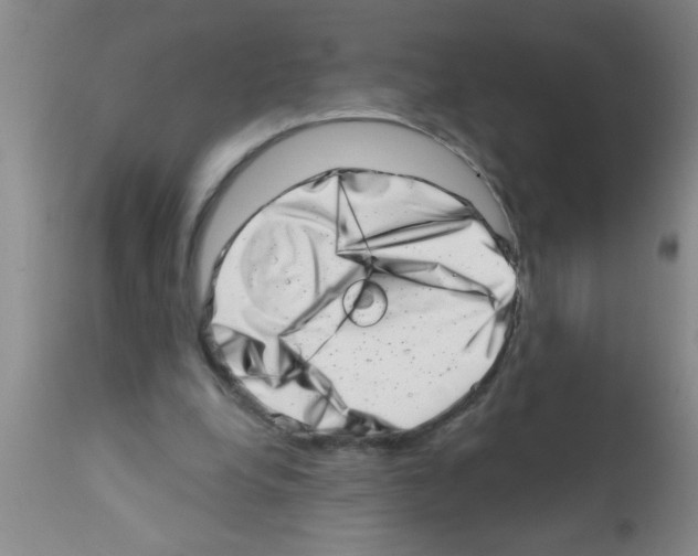 X0000113200248200910221046