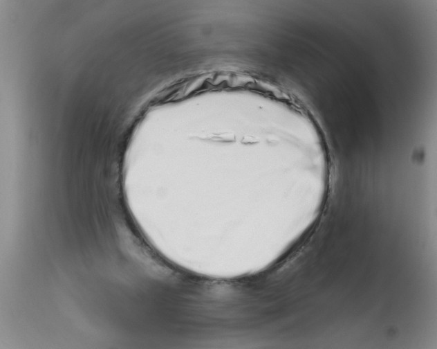 X0000113200249200910221046