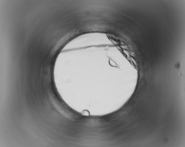 X0000113200250200910221046