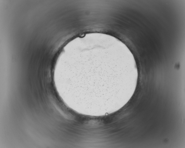 X0000113200251200910221046