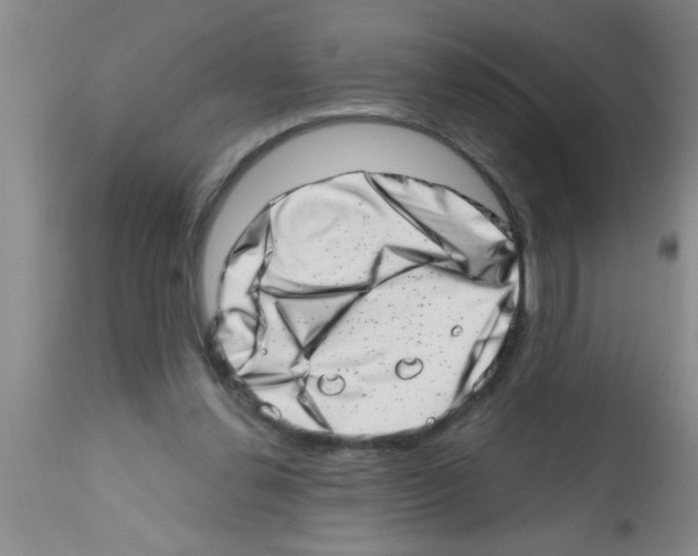 X0000113200252200910221046
