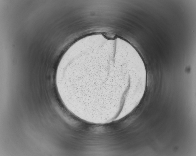 X0000113200253200910221046