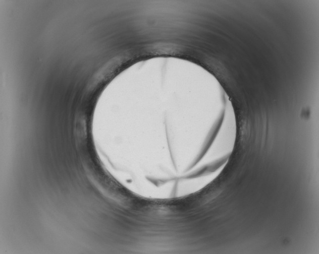 X0000113200254200910221046