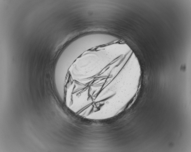 X0000113200256200910221047