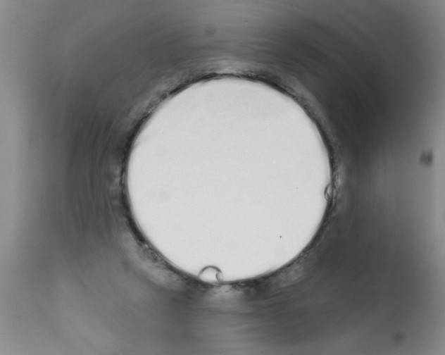 X0000113200257200910221047