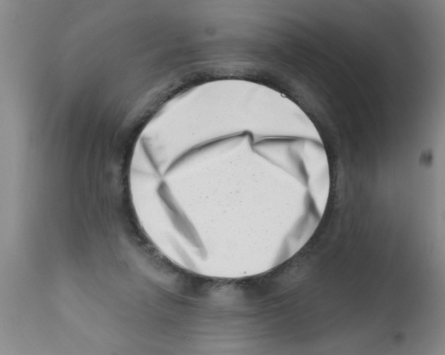 X0000113200258200910221047