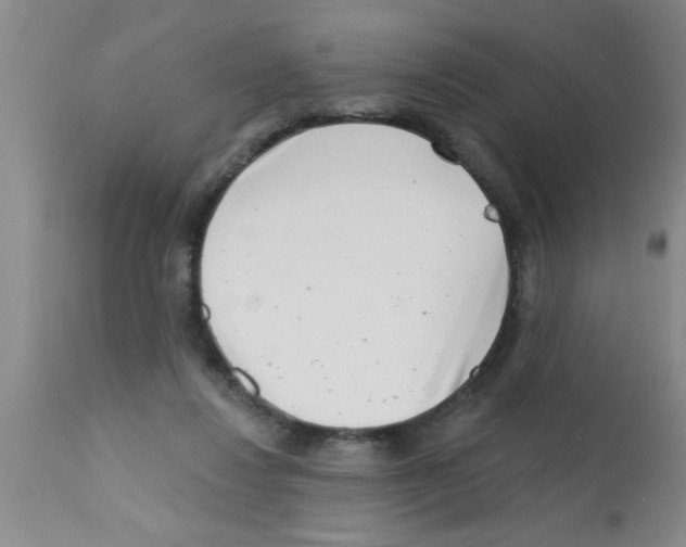 X0000113200260200910221047