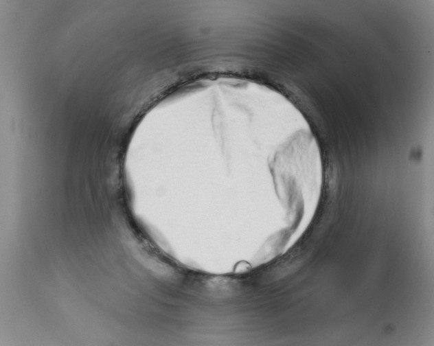 X0000113200261200910221047