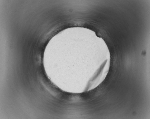 X0000113200262200910221047
