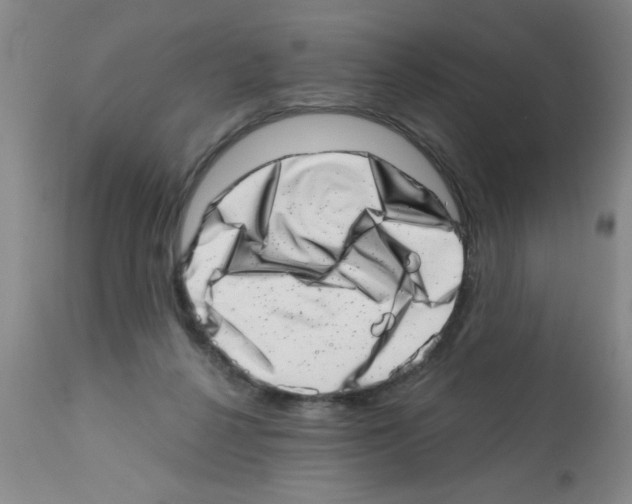 X0000113200264200910221047