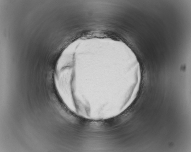 X0000113200265200910221047