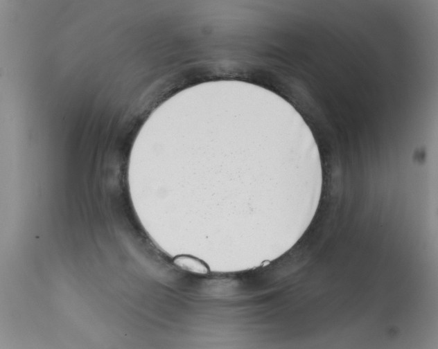 X0000113200266200910221047