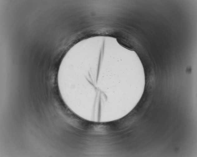 X0000113200268200910221047
