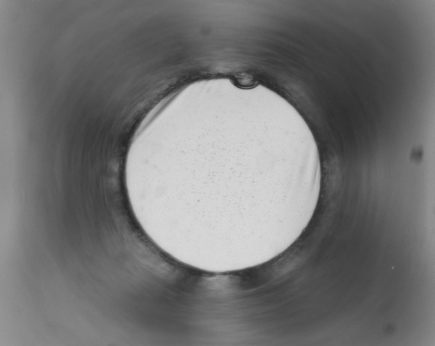 X0000113200269200910221047