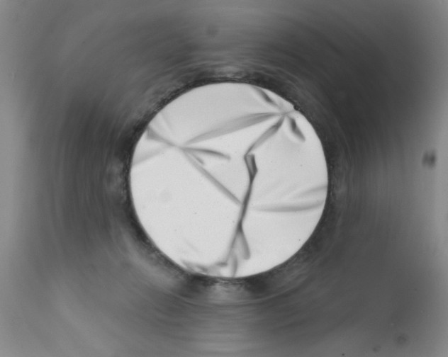 X0000113200270200910221047